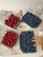 87004A85-AE3F-4FBF-834E-505330FD5FFF.jpeg