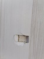 IMG_20220806_163706.jpg