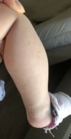 0D547547-CB41-4703-8358-7D06E1986168.jpeg