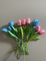 3D0FBE38-11FA-4175-A786-A93B20B84C79.jpeg
