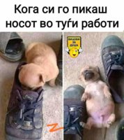 FB_IMG_1646591591801.jpg