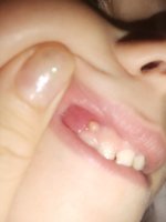 IMG_20220831_164846.jpg