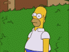 tumblr_lq2fssbiyh1qht847.gif