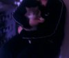 IMG3202A.jpg