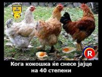 FB_IMG_1658942408360.jpg