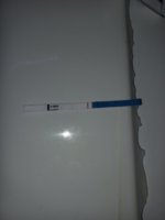 20220912_165839.jpg