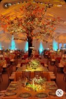 Screenshot_20220923-103021_Pinterest.jpg