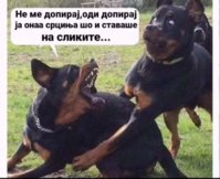 FB_IMG_1664096341612.jpg