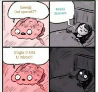 FB_IMG_1664403070632.jpg