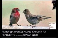 FB_IMG_1664488497688.jpg