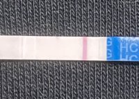 5D0AAEBE-1EC6-4AB6-86E0-D53305DDB320.jpeg