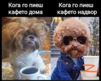 FB_IMG_1665137194169.jpg