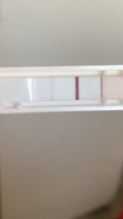 5E2D7140-FFB6-4CF7-8196-1E0B4152E364.png