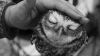 tumblr_mbripl7Dwl1rcwwuko1_500.gif