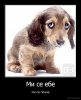 demotivacija.mk_Mi-se-ebe-mi-se-plache_132736464277 (1).jpg