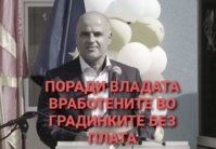 FB_IMG_1666728265971.jpg