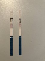 CE4C6683-1069-4A54-A319-27D123C7F911.jpeg