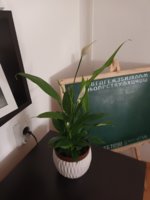 20221029_092936.jpg