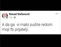 341.jpg