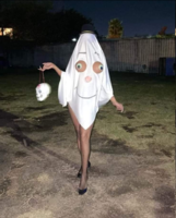 1667235512343.png
