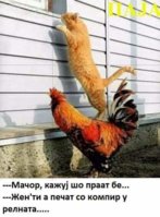 FB_IMG_1667587329727.jpg