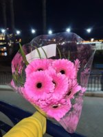BD1FD98A-D667-4ADE-A5DD-529A09DC16AE.jpeg