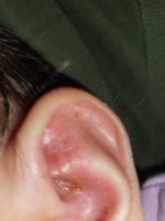 IMG-227a2ddc5bee82a0ad24413fa0dabe26-V.jpg