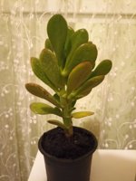 IMG_20221114_220817.jpg