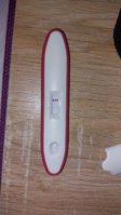 IMG_20221118_062259_236.jpg