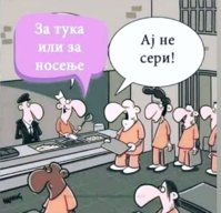 Screenshot_20221118-123141_Instagram.jpg