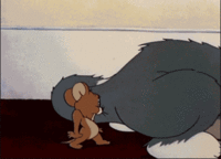main-qimg-f376bdfef06e5ce2690d404704b58cb6.gif
