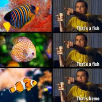 FB_IMG_1668601291573.jpg