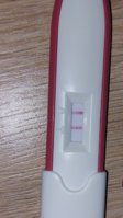 IMG_20221122_091134_981.jpg