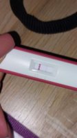 IMG_20221122_093149_491.jpg