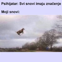 641.jpg
