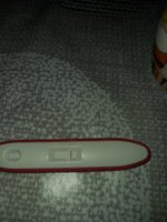 20221130_125608.jpg