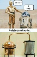 FB_IMG_1669820565239.jpg