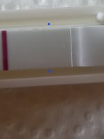 20221202_105456.jpg