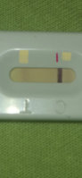 F1337A61-2C3B-4A5F-9B46-E705F7D205B4.jpeg