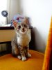 DSC02410.JPG