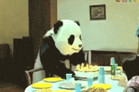 200w.gif