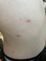 82523216-7B0B-44EF-B8D1-5AFDBBD13344.jpeg
