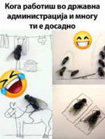 FB_IMG_1670860693458.jpg