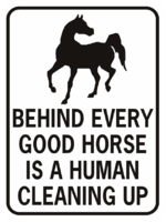 behind-every-horse-there-is-a-good-human.png