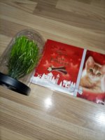 IMG_20221229_162536.jpg