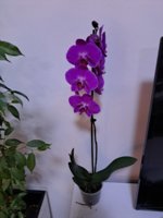 20230106_170912.jpg