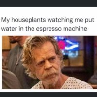 FB_IMG_1673559246088.jpg