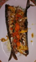 IMG_20230115_175424.jpg