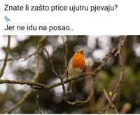 FB_IMG_1673856459785.jpg