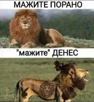 FB_IMG_1672948425485.jpg